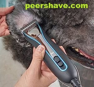 ⁦אוסטר Oster A6 comfort מכונת תספורת מקצועית לבעלי חיים /כלבים /חתולים⁩ – תמונה ⁦5⁩