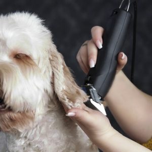 מוזר מקס moser max50 1250-0061