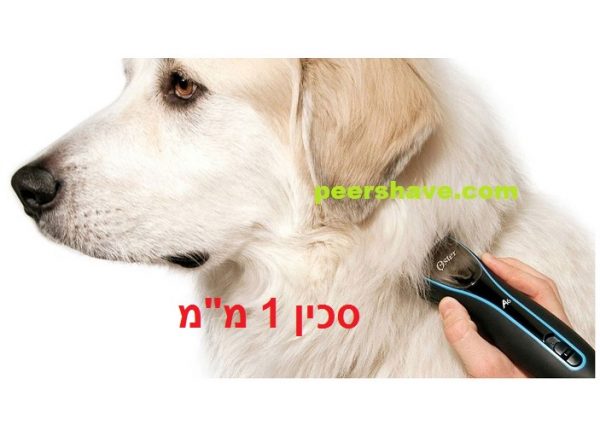 תספורת מומלצת לכלב