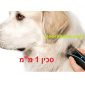 תספורת מומלצת לכלב